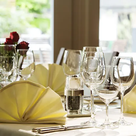 Schwaerzler Hotell Bregenz